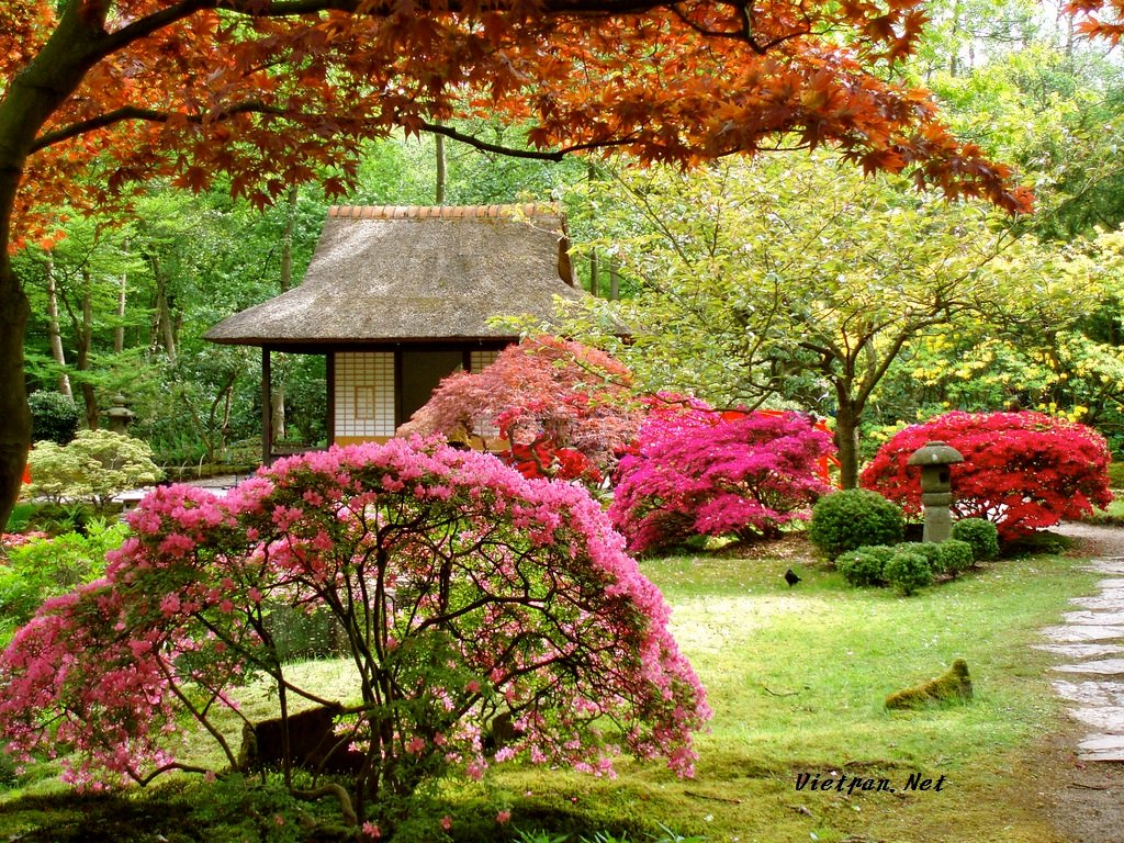 Hình bài viết Tản mạn những khu vườn Nhật Bản