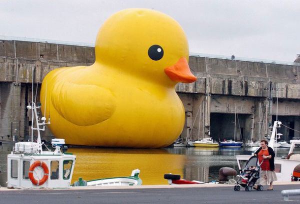 Hình bài viết Cùng Vịt Vàng du lịch Giant Rubber Duck khắp hành tinh