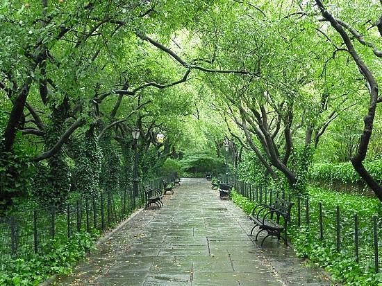 Hình bài viết Central Park - “Lá phổi xanh” của New York