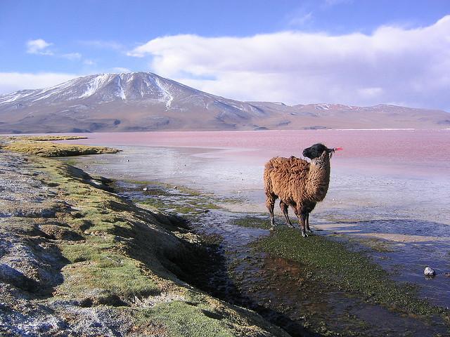 Hình bài viết Những khung cảnh đẹp mê hồn của Bolivia