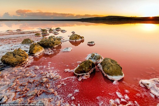 Hình bài viết Ngắm vẻ đẹp kỳ lạ của hồ nước mặn Koyashskoye