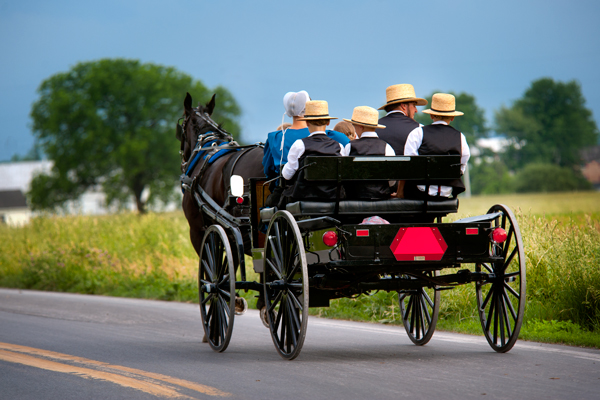 Hình bài viết Amish - Cộng đồng người gét sự hiện đại ở Mỹ