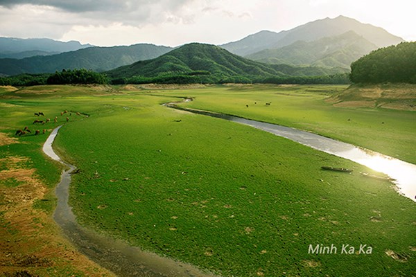 Hình bài viết "Thảo nguyên Mông Cổ " giữa Đà Nẵng