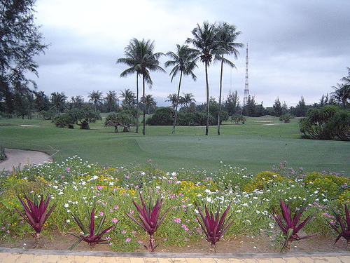 Hình ảnh Một góc sân golf Phan thiết - Sân Golf Phan Thiết