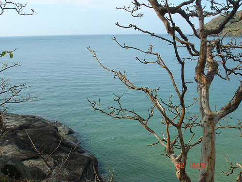 Hình ảnh Bai Dam Trau.jpg - Côn Đảo