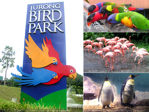 Hình ảnh Jurong bird Park 6 By Google.jpg - Vườn chim Jurong
