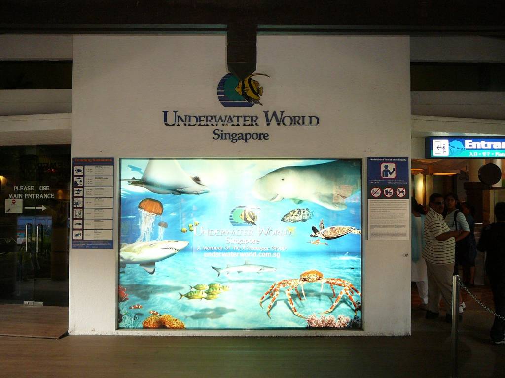 Hình ảnh Underwater World By Google.JPG - Thế giới nước