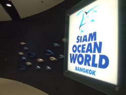 Hình ảnh Siam Ocean World 1.jpg - Công viên Đại dương nước Siam