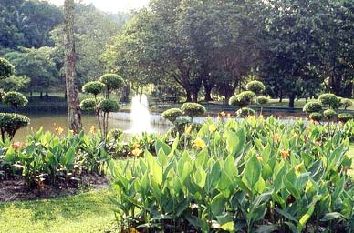 Hình ảnh kuala_lumpur_lake_gardens_2.jpg - Khu Vườn Hồ