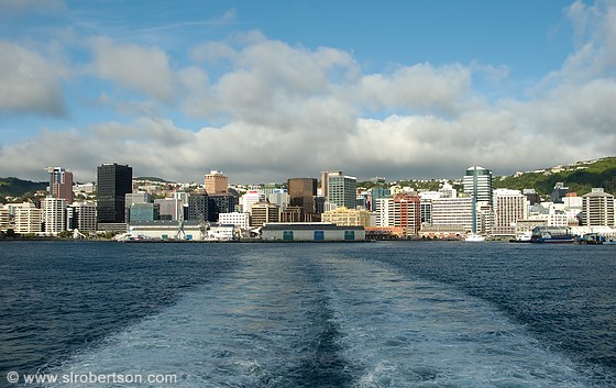Hình ảnh Wellington nhìn từ ngoài vịnh - Wellington