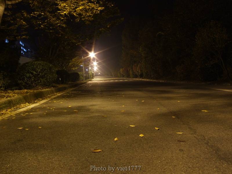 Hình ảnh Đường phố về đêm - Ulsan