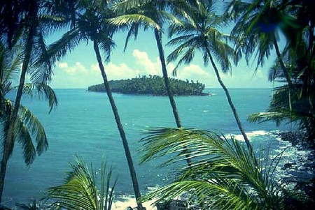 Hình ảnh Bờ biển Guyane - Guyane