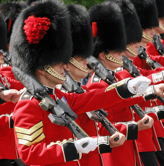 Hình ảnh Những chàng lính ngự lâm canh gác cung điện - Điện Buckingham
