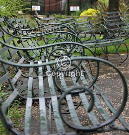 Hình ảnh Những chiếc ghế sắt trong vườn bách thú London - Vườn bách thú Luân Đôn