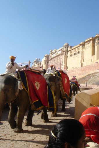 Hình ảnh Amber Fort near Jaipur, India..JPG - Jaipur