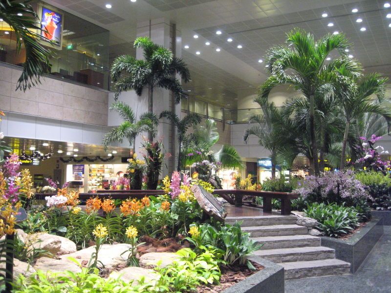 Hình ảnh Terminal_2 - Sân bay quốc tế Changi Singapore