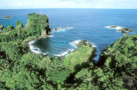Hình ảnh Vườn quốc gia ujung - Vườn quốc gia Ujung Kulon
