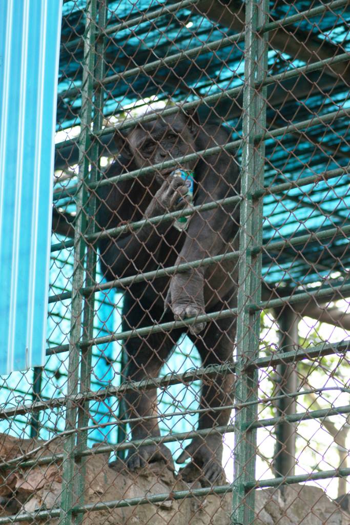 Hình ảnh Vườn thú Hà Nội 1 - Vườn thú Hà Nội
