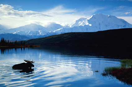 Hình ảnh 11 - Alaska