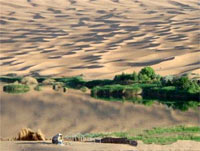 Hình ảnh 1 - Sa mạc Ba Đơn Cát Lâm