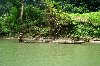 Hình ảnh fishing at Babe lake - Hồ Ba Bể