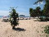 Hình ảnh full_beach_KataNoi_4.jpg - Bãi biển Kata Noi