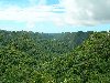 Hình ảnh Vườn quốc gia Cát Bà - Đảo Cát Bà