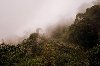 Hình ảnh Tam Đảo trong sương - Khu du lịch Tam Đảo