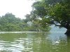 Hình ảnh Khu du lịch sinh thái Ba Hồ 1 - Khu du lịch sinh thái Ba Hồ