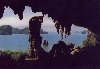 Hình ảnh Đảo Đầu Gỗ 3 - Đảo Đầu Gỗ