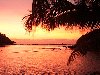 Hình ảnh 333990 - Quần đảo Fiji