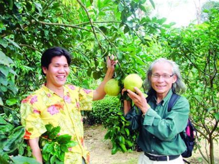 Hình ảnh Dai binh - Làng cổ Đại Bình