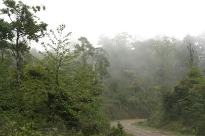 Hình ảnh Anh 3 - Ngãi Thầu
