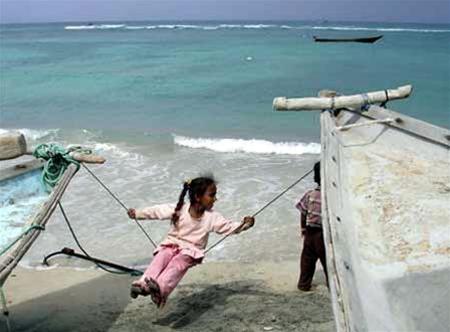 Hình ảnh Anh 1 - Socotra