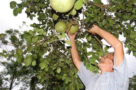 Hình ảnh Anh 2 - Hòn Kẽm, Đá Dừng