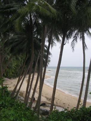Hình ảnh Anh 3 - Hòn Sơn