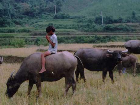 Hình ảnh Anh 2 - Sơn Hà