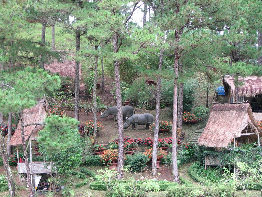 Hình ảnh Thien Nhien Hoang Da - Đà Lạt