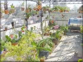 Hình ảnh pic7 - Khách sạn Việt Thanh