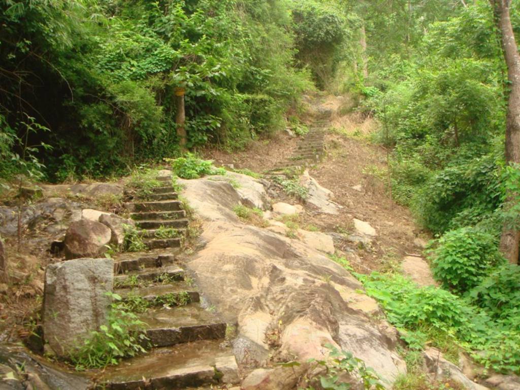 Hình ảnh Đường lên  Tà Cú - Núi Tà Cú