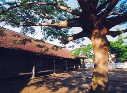 Hình bài viết Thanh bình Trà Cổ