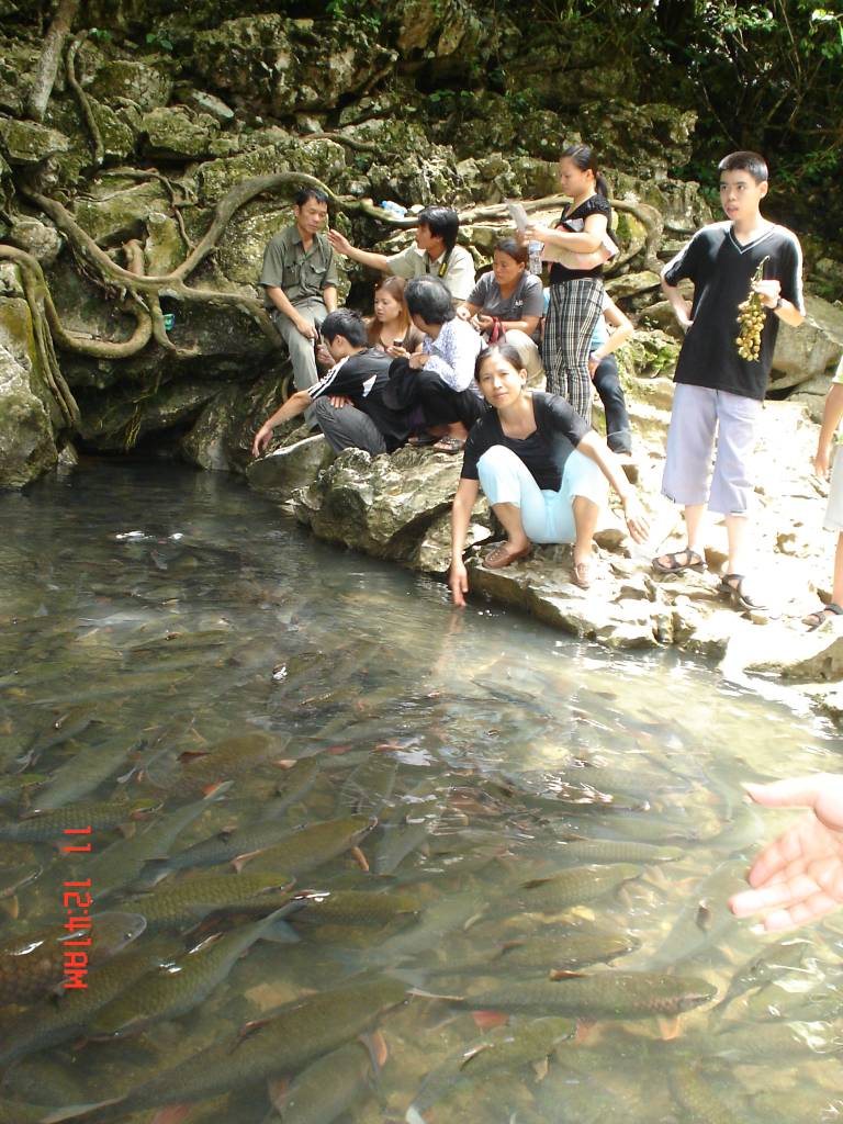 Hình ảnh Picture 024 - Thanh Hóa