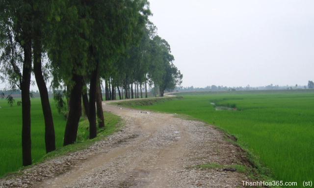 Hình ảnh HaChau - Thanh Hóa