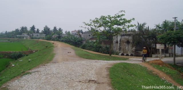 Hình ảnh VeHaHai - Thanh Hóa