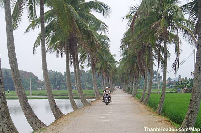 Hình ảnh HangDuaHaChau - Thanh Hóa