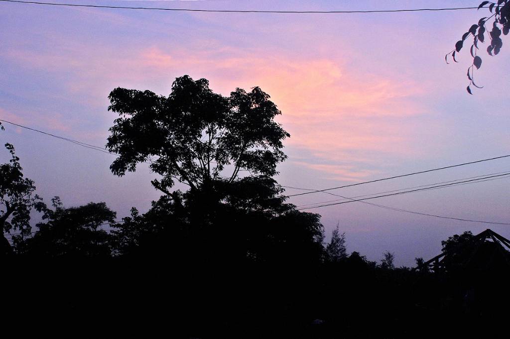 Hình ảnh DSC_0004 - Lý Sơn