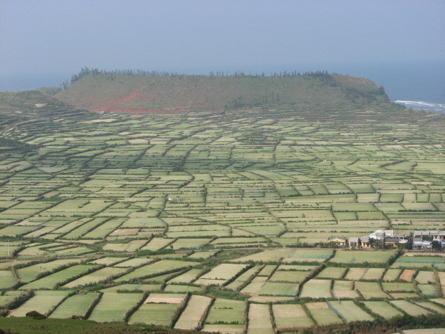 Hình ảnh IMG_0198 - Lý Sơn