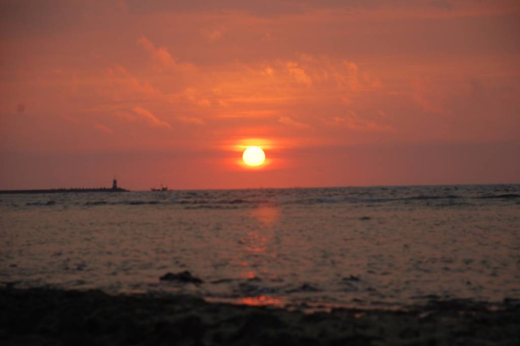 Hình ảnh DSC_0042 - Lý Sơn
