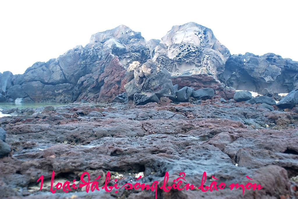 Hình ảnh da bi song bien bao mon. - Lý Sơn