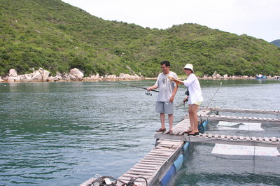 Hình ảnh Be ca Bai Tay - Bãi Tây